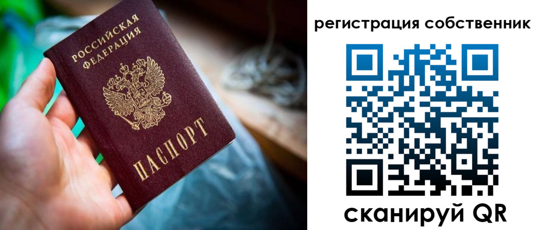 прописка гарантия в Богородске